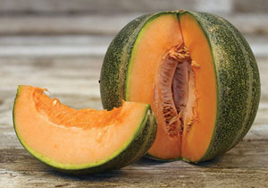 Melon, Cantaloupe, Heirloom 'Girs de Rennes', Organic