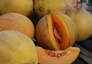 Melon, Cantaloupe, Heirloom 'Minnesota Midget', Organic